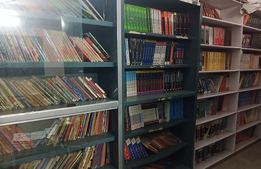 library Shriram Mahila Vidnyan Mahavidyalay, Paniv