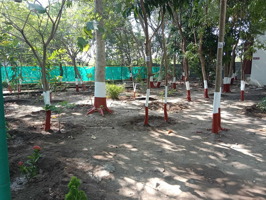 Botanical garden Shriram Mahila Vidnyan Mahavidyalaya, Paniv